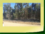 IMG_20220530_112223