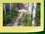 IMG_20210922_121420
