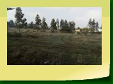 IMG_20190712_112150